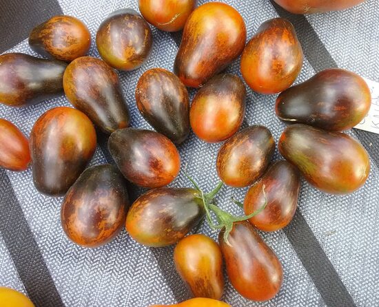 Голубые ключи